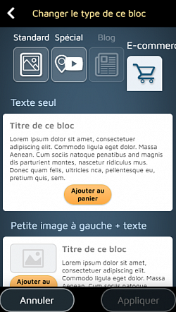 Les blocs 